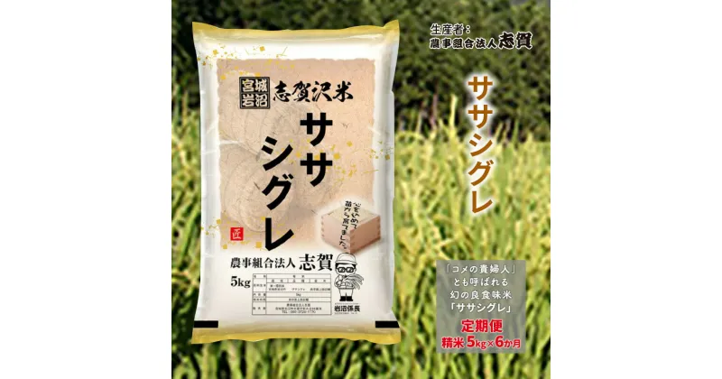 【ふるさと納税】【6ヶ月定期便】宮城県岩沼市産 ササシグレ 精米5kg　定期便・岩沼市