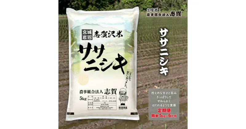 【ふるさと納税】【6ヶ月定期便】宮城県岩沼市産 ササニシキ 精米5kg　定期便・岩沼市