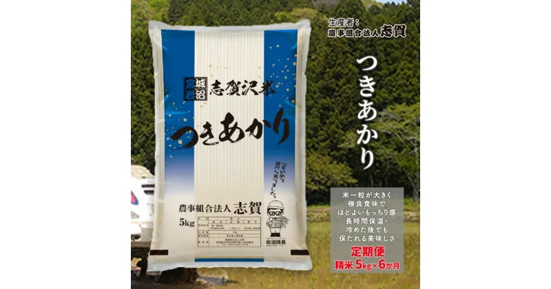 【ふるさと納税】【6ヶ月定期便】宮城県岩沼市産 つきあかり 精米5kg　定期便・岩沼市