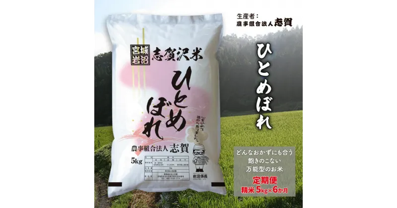 【ふるさと納税】【6ヶ月定期便】宮城県岩沼市産 ひとめぼれ 精米5kg　定期便・岩沼市