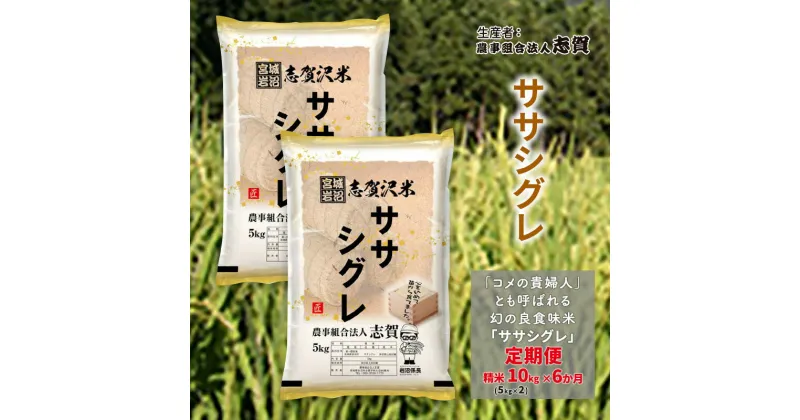 【ふるさと納税】【6ヶ月定期便】宮城県岩沼市産 ササシグレ 精米10kg(5kg×2）　定期便・岩沼市