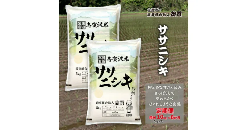 【ふるさと納税】【6ヶ月定期便】宮城県岩沼市産 ササニシキ 精米10kg(5kg×2）　定期便・岩沼市