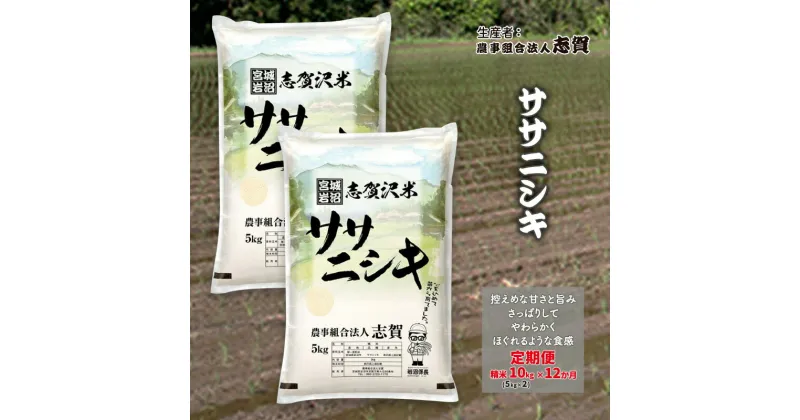 【ふるさと納税】【12ヶ月定期便】宮城県岩沼市産 ササニシキ 精米10kg(5kg×2）　定期便・岩沼市