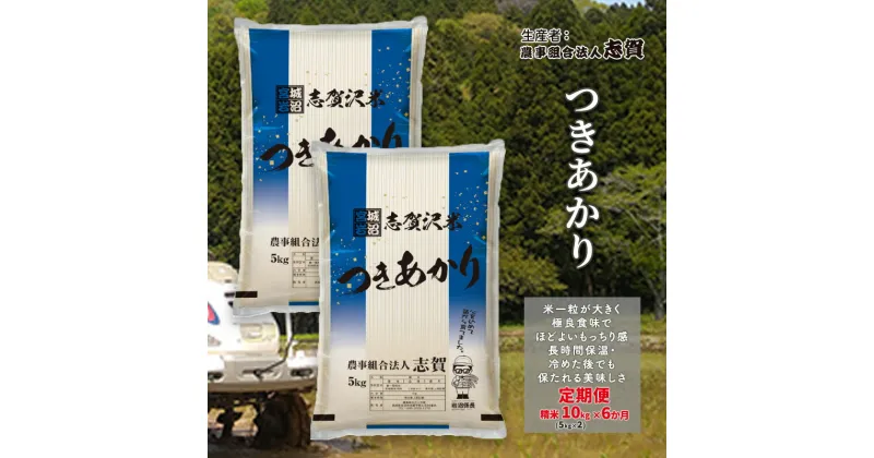 【ふるさと納税】【6ヶ月定期便】宮城県岩沼市産 つきあかり 精米10kg(5kg×2）　定期便・岩沼市