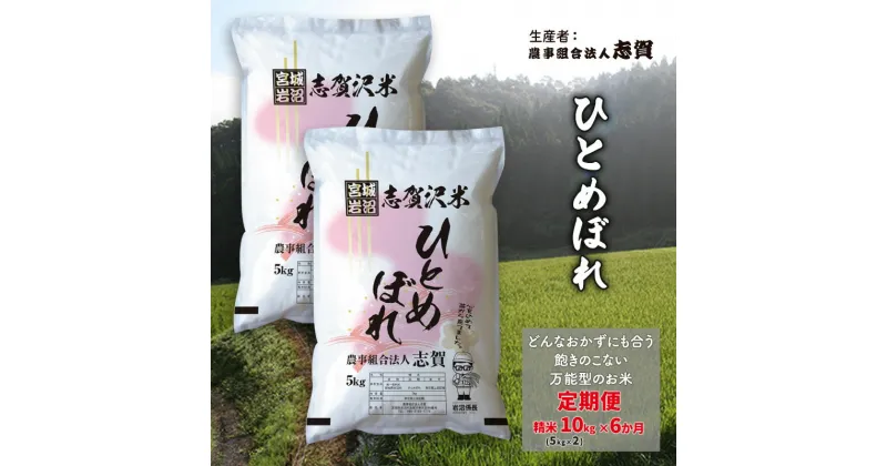 【ふるさと納税】【6ヶ月定期便】宮城県岩沼市産 ひとめぼれ 精米10kg(5kg×2）　定期便・岩沼市