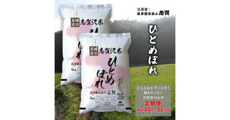 【ふるさと納税】【12ヶ月定期便】宮城県岩沼市産 ひとめぼれ 精米10kg(5kg×2）　定期便・岩沼市