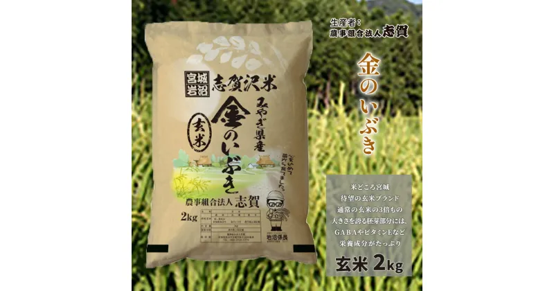 【ふるさと納税】宮城県岩沼市産 金のいぶき 玄米2kg　岩沼市　お届け：2024年10月以降発送開始