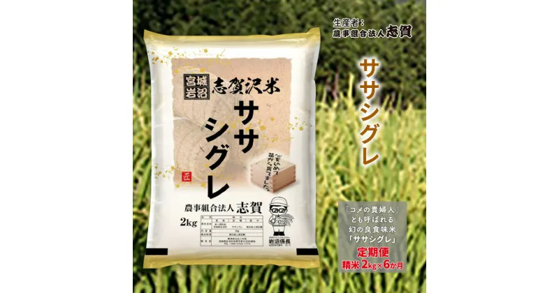 【ふるさと納税】【6ヶ月定期便】宮城県岩沼市産 ササシグレ 精米2kg　定期便・岩沼市