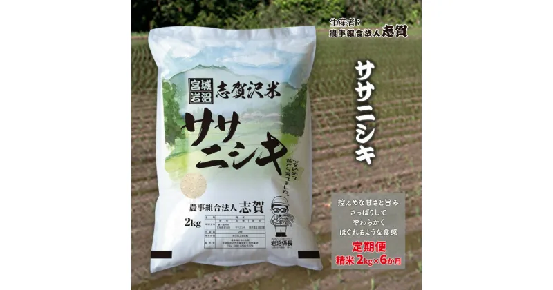 【ふるさと納税】【6ヶ月定期便】宮城県岩沼市産 ササニシキ 精米2kg　定期便・岩沼市