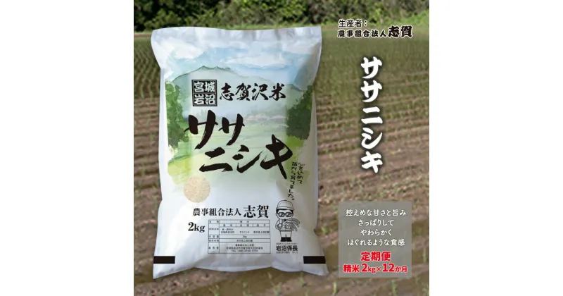 【ふるさと納税】【12ヶ月定期便】宮城県岩沼市産 ササニシキ 精米2kg　定期便・岩沼市