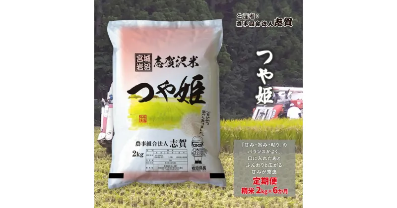 【ふるさと納税】【6ヶ月定期便】宮城県岩沼市産 つや姫 精米2kg　定期便・岩沼市