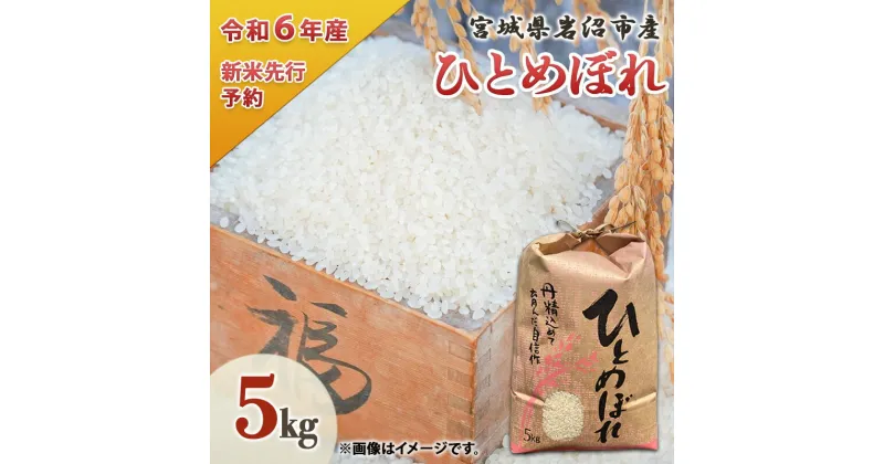 【ふるさと納税】米 令和6年度 宮城県産 ひとめぼれ 5kg お米 こめ コメ　お届け：2024年11月～2025年5月