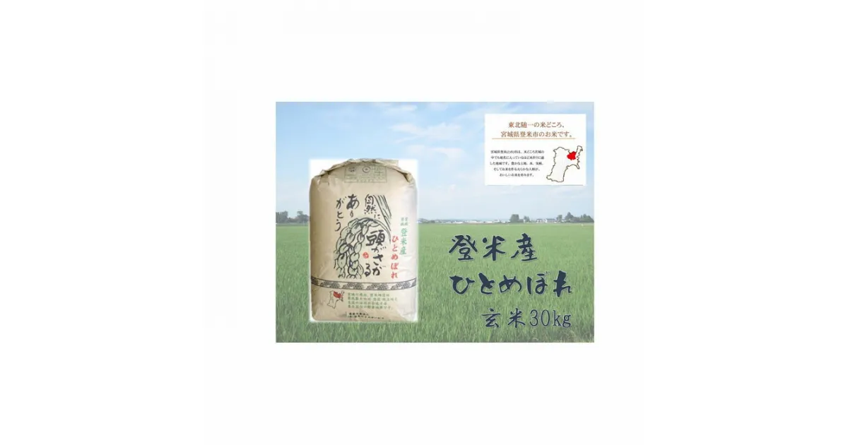 【ふるさと納税】【令和6年産】米 玄米 ひとめぼれ 宮城県 登米市産 30kg | 米 お米 こめ 令和4年 ご飯 ごはん お取り寄せ ご当地 数量限定 人気 おすすめ