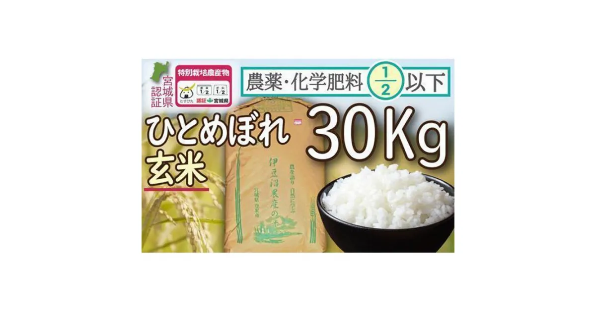 【ふるさと納税】新米 特別栽培米 ひとめぼれ 玄米 30kg 宮城県登米市産【令和5年度産】 農薬・化学肥料節減米 宮城県認証 うるち米 30キロ