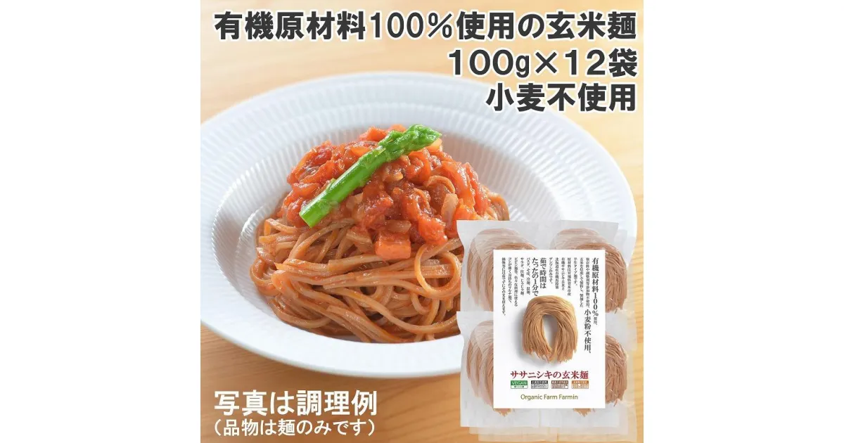 【ふるさと納税】ササニシキの玄米麺（細麺）有機原材料100%使用 100g×12袋 グルテンフリー