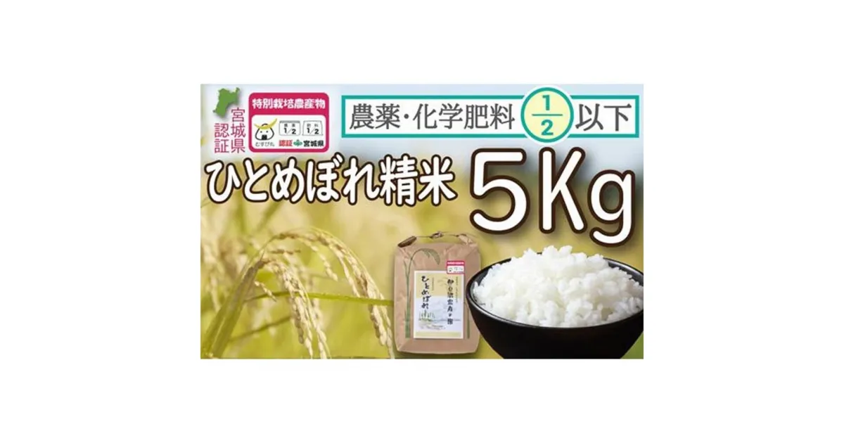 【ふるさと納税】新米 特別栽培米 ひとめぼれ 精米5kg 宮城県登米市産【令和6年度産】 農薬・化学肥料節減米 宮城県認証 白米 うるち米 5キロ