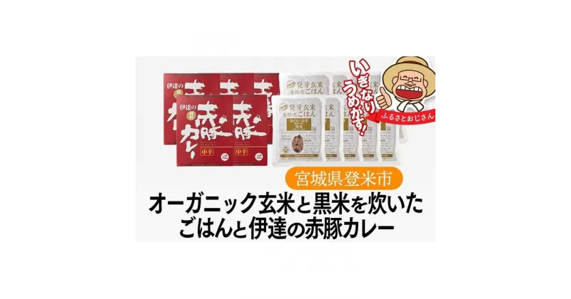 【ふるさと納税】オーガニック玄米と伊達の赤豚カレー セット（ご飯12個×カレー6個）パックご飯 150g レトルト食品 レトルトカレー 玄米 パック 黒米 レトルト レトルトご飯 レトルト食品 カレー ふるさと納税 宮城県 登米市 | 非常食