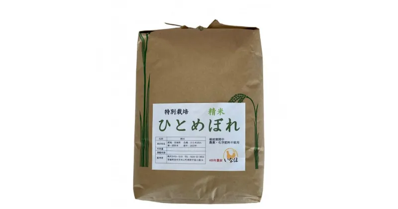 【ふるさと納税】2024年産 ひとめぼれ5kg（白米） 農薬・化学肥料不使用栽培 | お米 こめ 白米 食品 人気 おすすめ 送料無料 数量限定