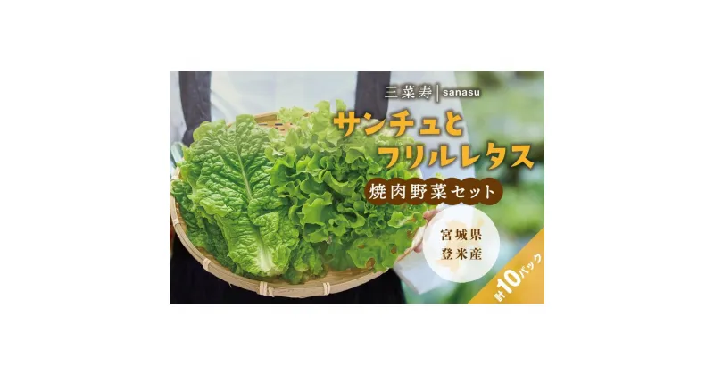 【ふるさと納税】サンチュ（6パック）とフリルレタス（4パック）の焼肉野菜セット | 野菜 やさい 食品 人気 おすすめ 送料無料