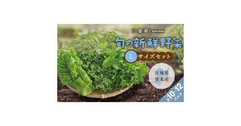 【ふるさと納税】【定期便6回】旬の新鮮野菜セット　Lサイズ（5種類以上/10～12パック） | 野菜 やさい 食品 人気 おすすめ 送料無料