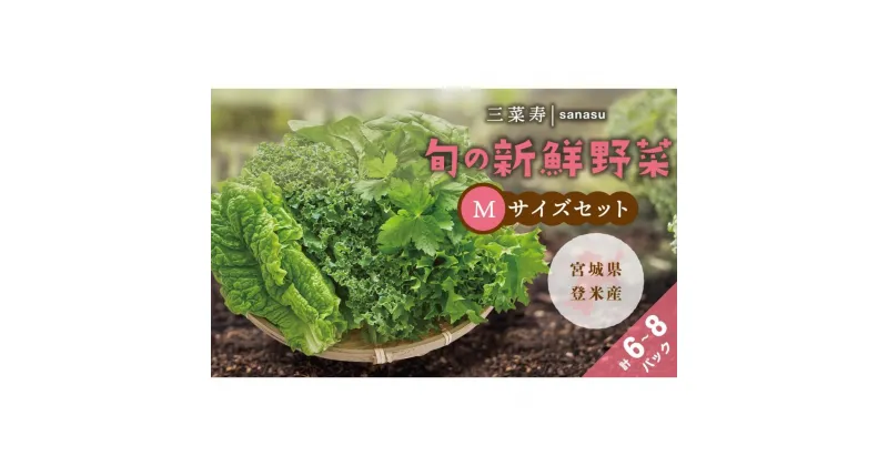 【ふるさと納税】旬の新鮮野菜セット Mサイズ（5種類以上/6～8パック） | 野菜 やさい 食品 人気 おすすめ 送料無料