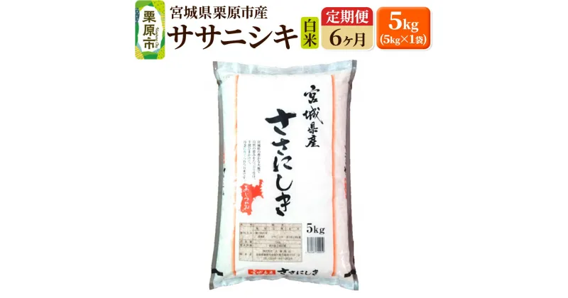 【ふるさと納税】《定期便6ヶ月》【令和6年産・白米】宮城県栗原産 ササニシキ 毎月5kg (5kg×1袋)×6ヶ月 新米