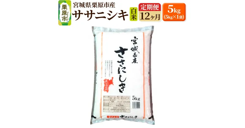 【ふるさと納税】《定期便12ヶ月》【令和6年産・白米】宮城県栗原産 ササニシキ 毎月5kg (5kg×1袋)×12ヶ月 新米