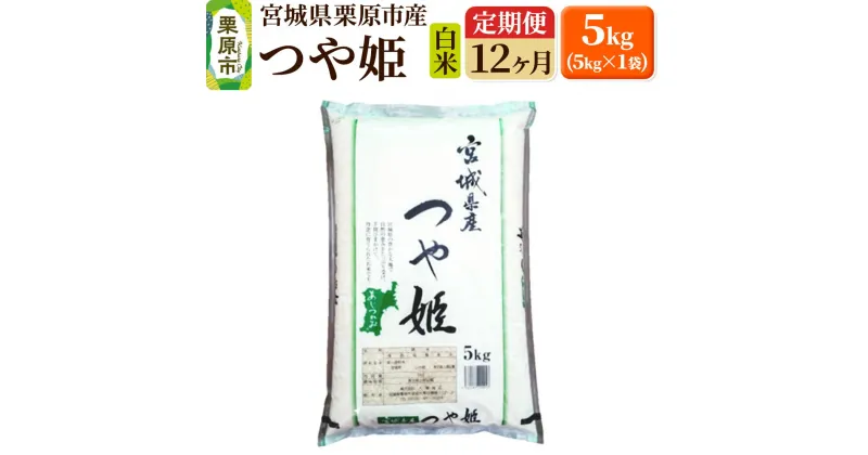 【ふるさと納税】《定期便12ヶ月》【令和6年産・白米】宮城県栗原産 つや姫 毎月5kg (5kg×1袋)×12ヶ月 新米