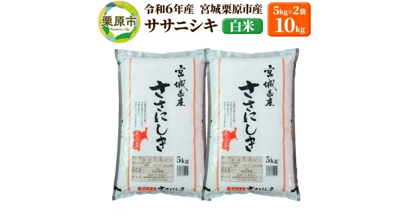 【ふるさと納税】【令和6年産・白米】宮城県栗原市産 ササニシキ 10kg (5kg×2袋) 新米