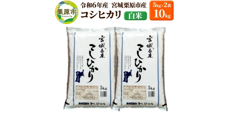 【ふるさと納税】【令和6年産・白米】宮城県栗原市産 コシヒカリ 10kg (5kg×2袋) 新米