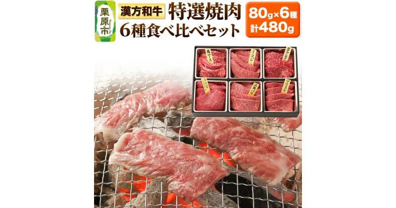 【ふるさと納税】漢方和牛特選焼肉食べ比べセット 80g×6種 計480g 【肩ロース、ミスジ、カタサンカク、トンビ、三角バラ、ブリスケ】牛肉 焼き肉