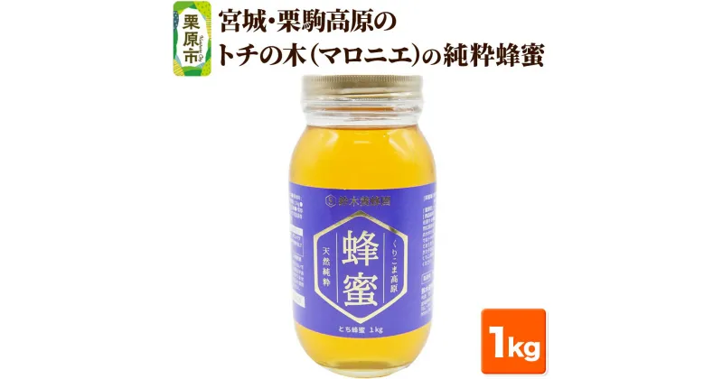 【ふるさと納税】宮城・栗駒高原のトチの木（マロニエ）の純粋蜂蜜 1kg×1本 はちみつ ハチミツ