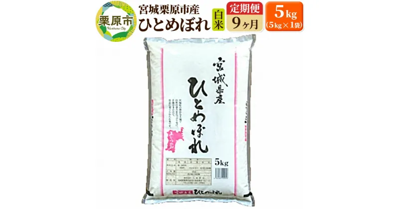 【ふるさと納税】《定期便9ヶ月》【令和6年産・白米】宮城県栗原産 ひとめぼれ 毎月5kg (5kg×1袋)×9ヶ月