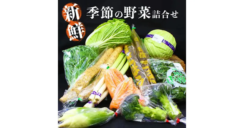 【ふるさと納税】新鮮 季節の野菜 おまかせ詰め合わせセット 宮城県 東松島市 朝採り 野菜 産直