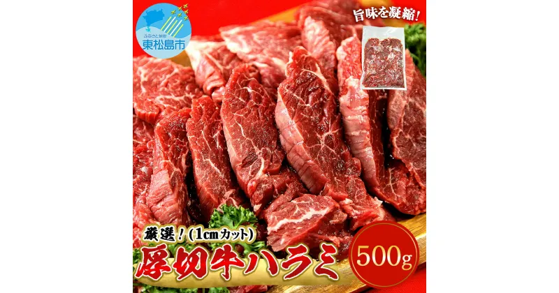 【ふるさと納税】ハラミ 厚切 味付き 牛ハラミ 500g 冷凍 牛肉 味付 焼肉 バーベキュー BBQ 宮城県 東松島 B