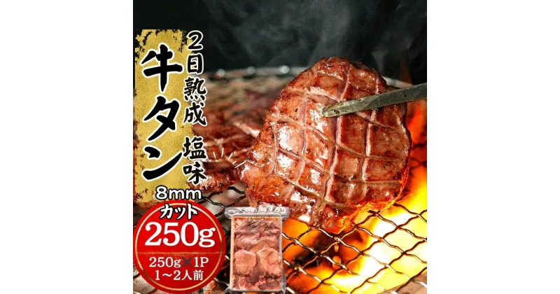 【ふるさと納税】牛タン 2日熟成牛タン 8mmカット 熟成 厚切 牛タン 塩味 250g 冷凍 焼肉 バーベキュー 牛たん 熟成牛たん 宮城県 東松島市 佐利 オンラインワンストップ 対応 自治体マイページ W