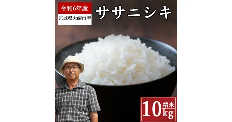 【ふるさと納税】《精米》宮城県大崎市産 特別栽培米 ササニシキ10kg【2024年産】