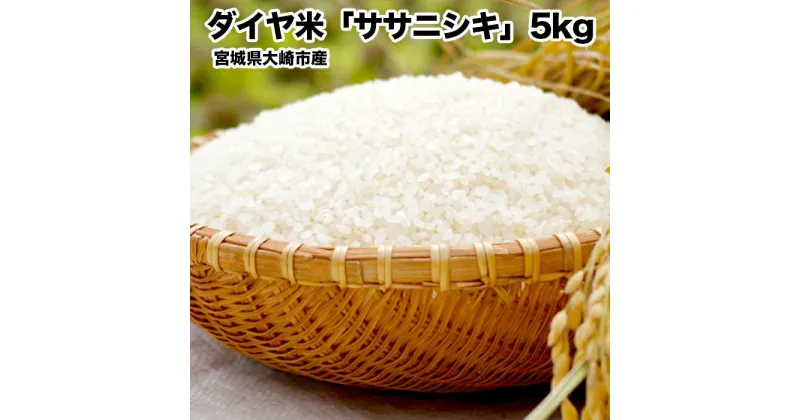 【ふるさと納税】《令和6年産》ダイヤ米宮城県大崎市産ササニシキ【白米5kg】