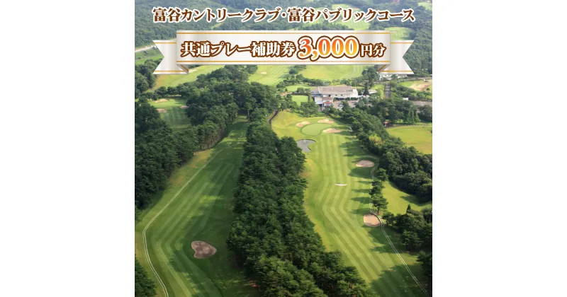 【ふるさと納税】富谷カントリークラブ・富谷パブリックコース 共通プレー補助券 3,000円分(1,000円券×3枚) [0076] 東北 宮城 仙台 富谷 ゴルフ場 チケット クーポン