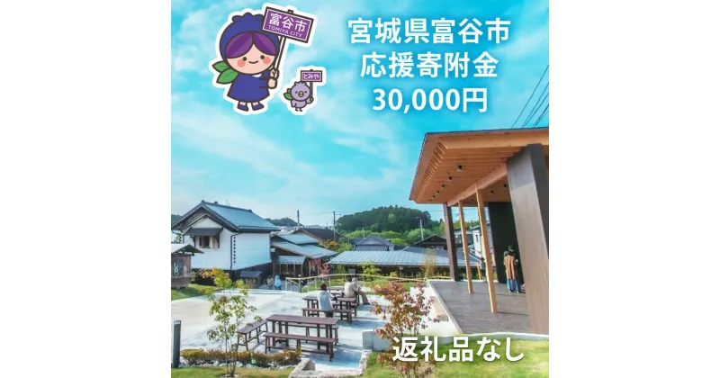 【ふるさと納税】[返礼品なし]「宮城県富谷市へのご寄附 3万円」富谷市の発展のために活用させていただきます！｜東北 富谷 とみや 返礼品無し 寄附 寄付 [0208]