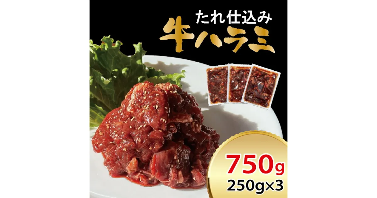 【ふるさと納税】べこ政宗『牛ハラミ たれ仕込み』750g (250g×3)｜牛肉 焼肉用 冷凍 小分け 焼肉 BBQ 味付き 家計応援 焼くだけ [0219]