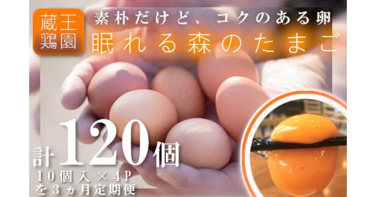 【ふるさと納税】【3か月連続お届け】眠れる森のたまご　朝採れ卵40個　【04301-0325】