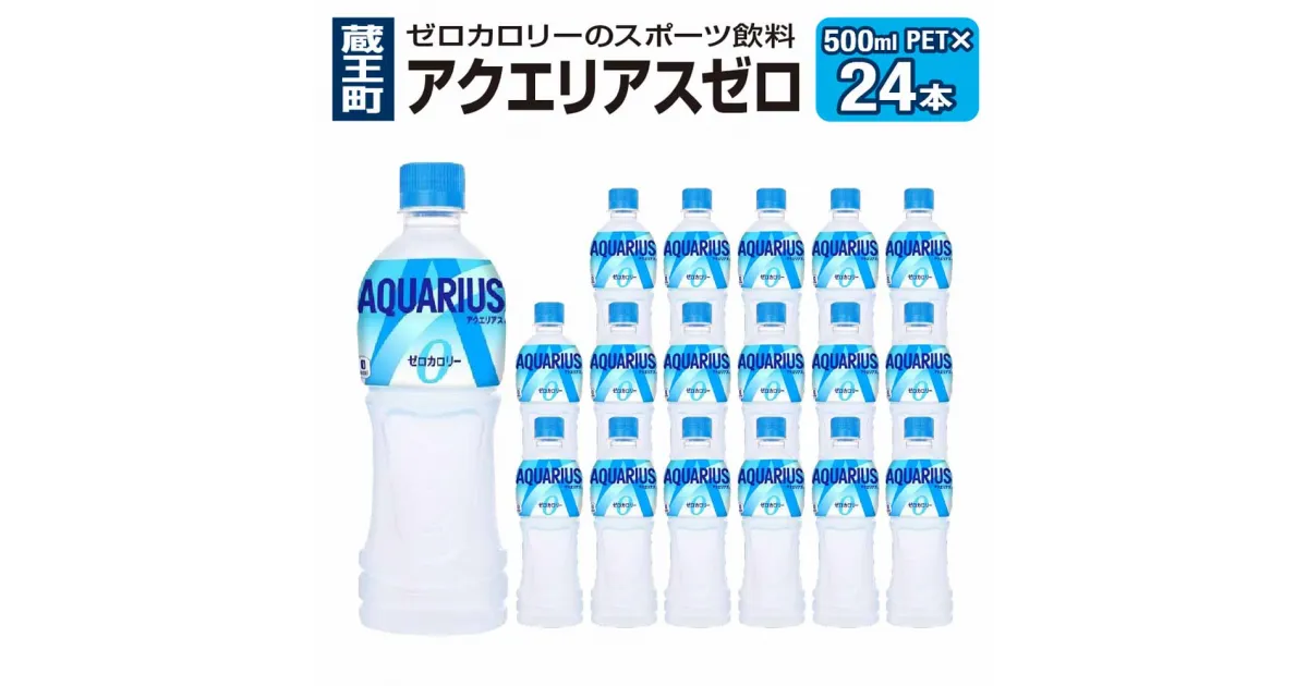 【ふるさと納税】アクエリアスZERO 500ml PET　【04301-0532】