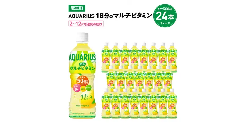 【ふるさと納税】【2～12か月連続お届け】アクエリアス1日分のマルチビタミン　500ml PET×24本　【04301-0684～689】 コカ・コーラ ボトラーズジャパン ペットボトル 合計 12L 1ケース 宮城県 蔵王町 定期便 クエン酸 ビタミンC カロリー控えめ