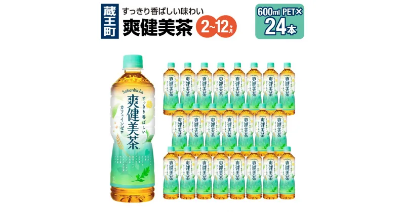 【ふるさと納税】【2～12か月連続お届け】爽健美茶　600ml PET×24本　【04301-0028～30・696～698】 コカ・コーラ ボトラーズジャパン ペットボトル 合計 14.4L 1ケース 宮城県 蔵王町 定期便 そうけんびちゃ お茶 ブレンド茶 送料無料 ギフト プレゼント