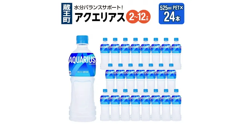 【ふるさと納税】【2～12か月連続お届け】アクエリアス　500ml PET×24本　【04301-0040～42・705～707】 コカ・コーラ ボトラーズジャパン ペットボトル 合計 12L 1ケース 宮城県 蔵王町 定期便 スポーツドリンク スポドリ スポーツ飲料 送料無料