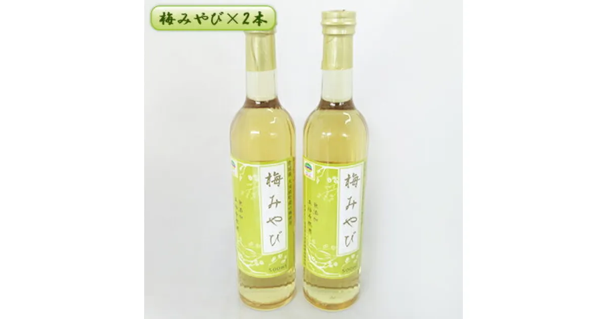 【ふるさと納税】梅みやび（梅シロップ）500ml×2本セット　 ウメ うめ シロップ 果実シロップ 希釈 ドリンク 飲み物 町のおすすめ返礼品