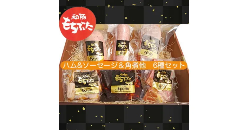 【ふるさと納税】もちぶた 加工肉 6種 詰め合わせ セット ハム ソーセージ 角煮 ベーコン 煮豚 和豚 もち豚 豚肉 ポーク 肉 豚 ぶた ブタ 豚ロース 加工肉 加工品 レトルト レトルト食品 アウトドア キャンプ バーベキュー 冷蔵 宮城　大河原町