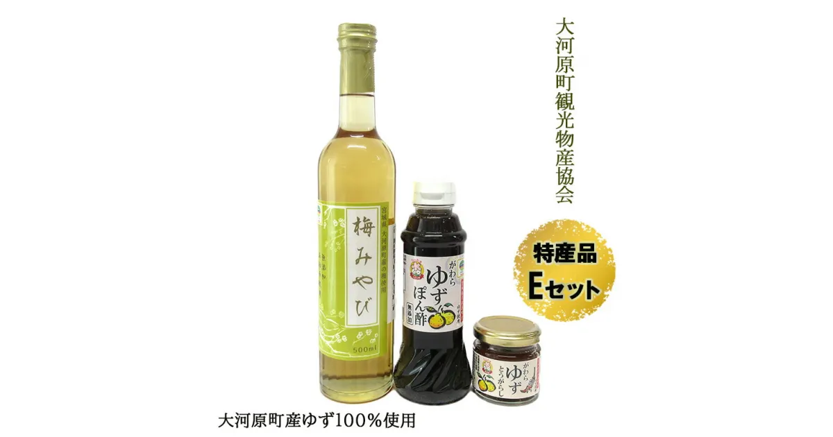 【ふるさと納税】大河原町観光物産協会　特産品Eセット　 加工食品 調味料 梅シロップ ゆずぽん酢しょうゆ ゆずとうがらし 調味料セット 詰め合わせ