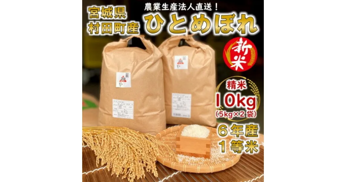 【ふるさと納税】【新米】令和6年宮城県産 ひとめぼれ 精米10kg(5kg×2袋)【村田町産】【1547152】